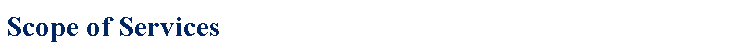 Text Box: Scope of Services